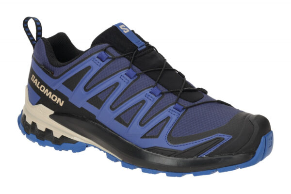 Salomon XA PRO 3D V9 GTX 472703 blau - Sportschuhe f?r Herren